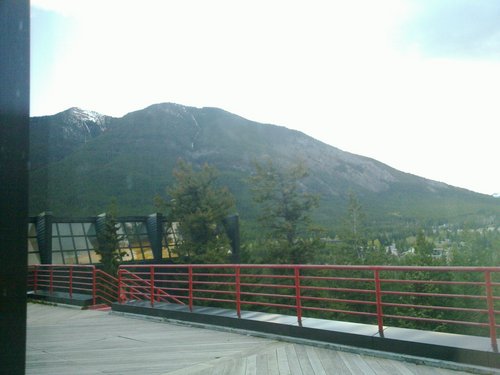 20100603_012.jpg