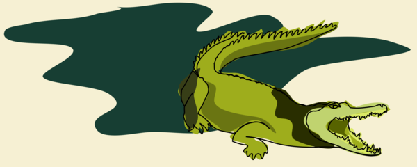 crocodile.png