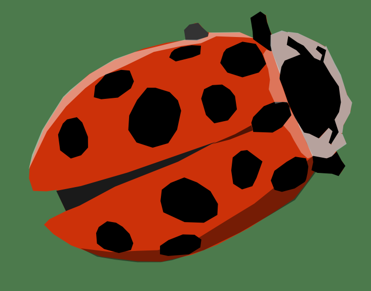 http://www.adaptstudio.ca/blog/images/ladybug.png