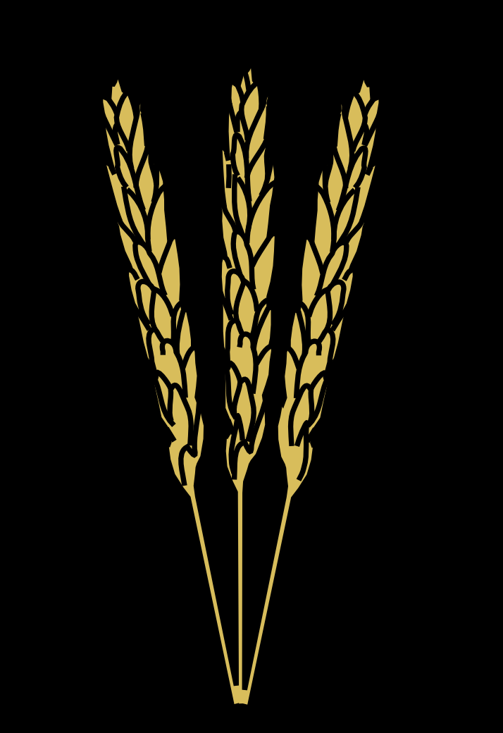 http://www.adaptstudio.ca/blog/images/wheat.png